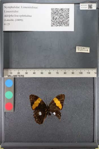Media type: image;   Entomology 141220